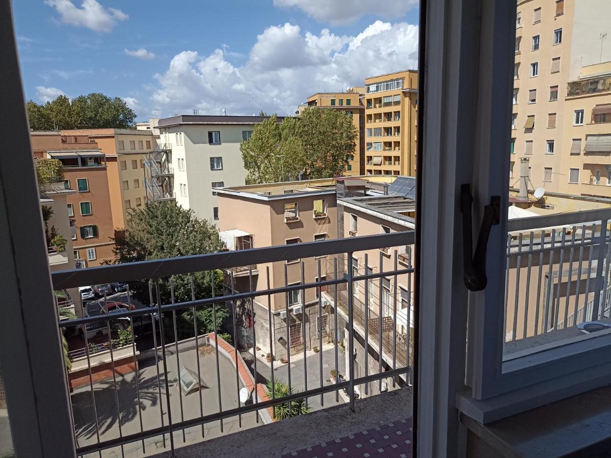 A&C Guest Black Diamond — Foto 2